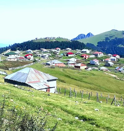 Espiye Otogarı