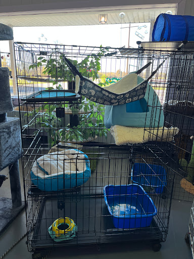 Delaware Pet Stuff - Visual