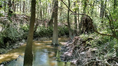 Lake Ramsey Savannah Wildlife Management Area