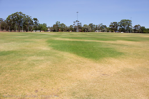 Dwight Reserve South - Thumbnail