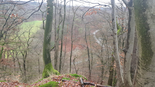 Krahstein - Thumbnail
