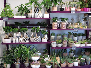 Photo n°6 de Cœur De Fleurs Pessac à Pessac (Fleuriste)