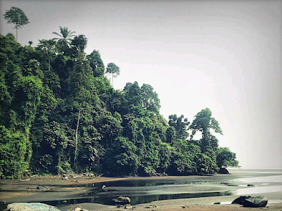 Photos of Ureca Natue Center and Bioko Artisan Collective