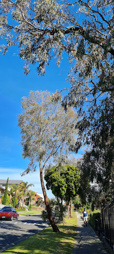 Singleton Reserve Playground - Thumbnail