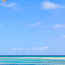Tropical Pressure Cleaning