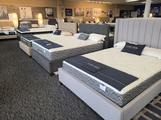 Wildcat Mattress & Massage Chairs - Thumbnail