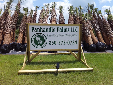 Panhandle Palms LLC 2470 Bay View Dr, Port St Joe, FL 32456, United States