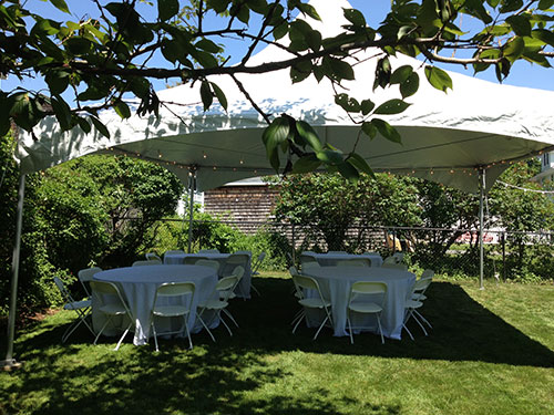 Party Life Rents by null