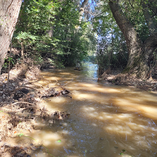 Ribera del río Valtodano