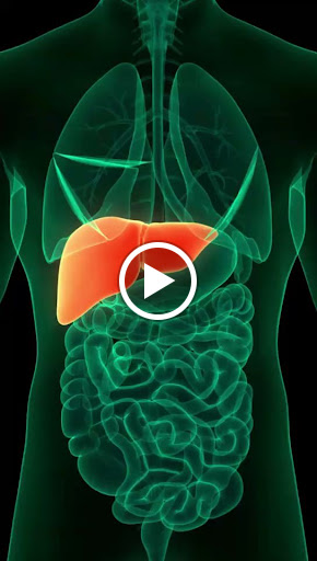 🧠 Did you know? Your liver does over 300 vital jobs! 🩺 post image