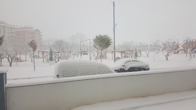 Photos of Pistachio Park