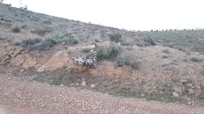 Photos of Golestan Jungle Park
