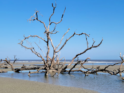 Hunting Island State Park - Thumbnail