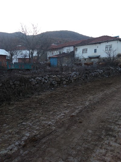 Photos of Gazi Osman Pasa Stadium