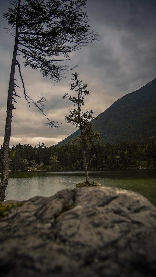 Hintersee