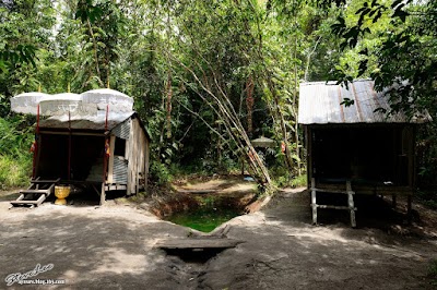 Photos of 1000 Lingas