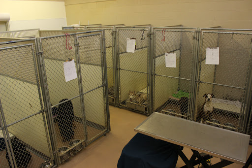Oakdale Animal Hospital: Reservoir, MS Sullivan William C DVM - Thumbnail