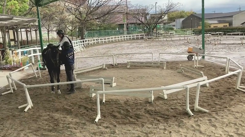 乗馬クラブ クレイン大阪
