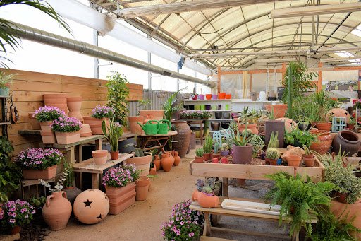Jardineria Travé - Thumbnail