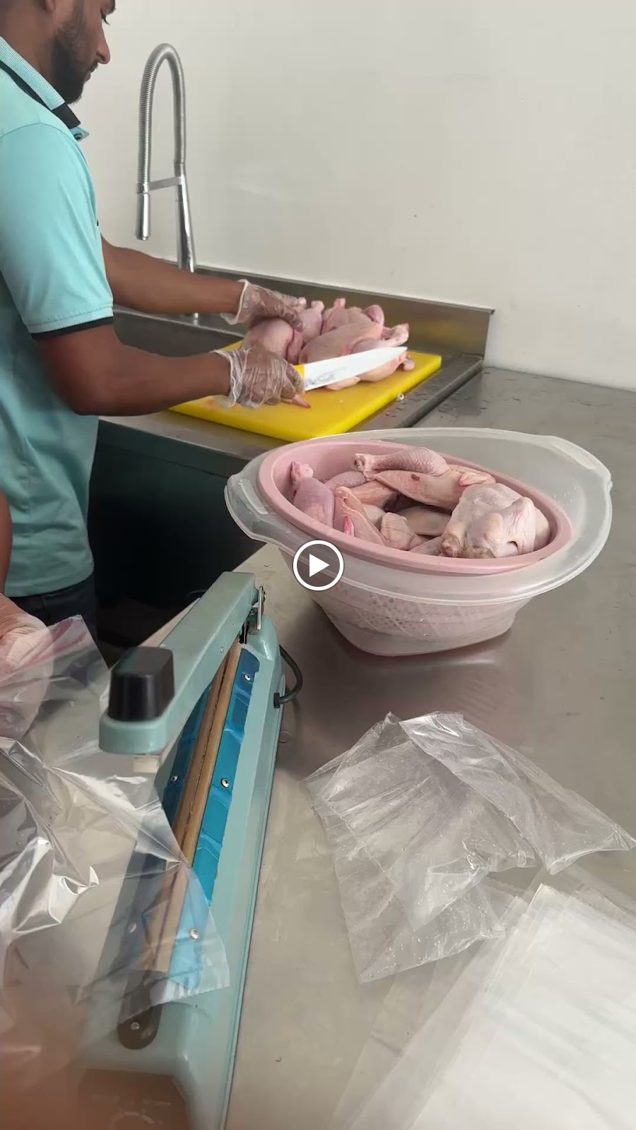 للدواجن والاسماك - صورة 4