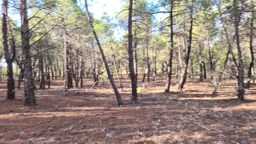 Paraje 'Las zorreras" Gallery - Spain