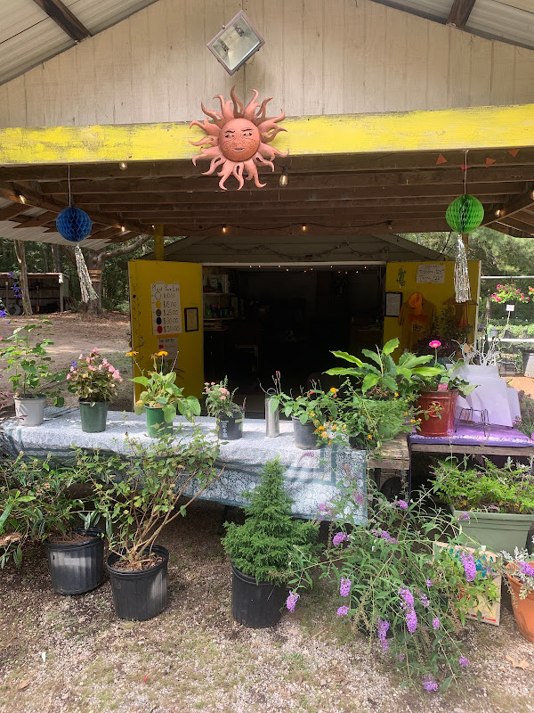 Sunrise Nursery photo