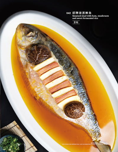 Photo of Blossom 玉兰庭