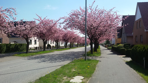 Club am Südring