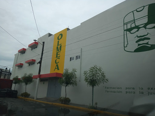 Olmeca Institute of Veracruz - Thumbnail