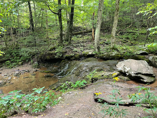Dark Hollow Falls, Shenandoah National Park - Thumbnail
