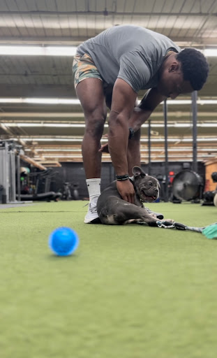 Average to Savage Performance and Fitness, LLC - Thumbnail