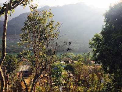 Photos of Akala Mandir
