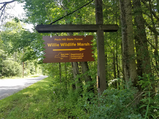 Willie Wildlife Marsh - Thumbnail