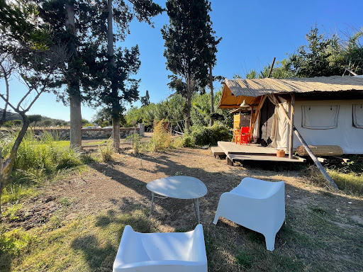 No12 Gümüşlük Glamping & Cafe
