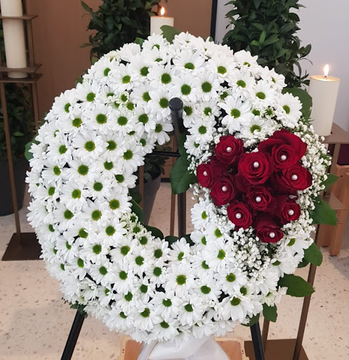 Blumen Hummel - Visual