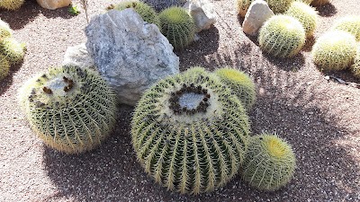 Photos of The Cyprus Cactus And Succulent Botanical Garden