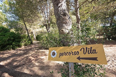 Photos of The Casarana Wellness Resort