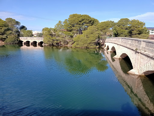 Parc Natural de s'Albufera de Mallorca - Thumbnail