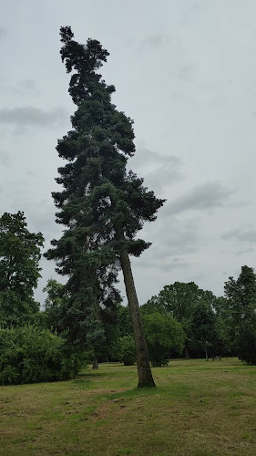 Rusovský zámocký park - Bratislava