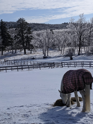 Ballantine Dressage