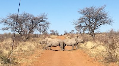 Photos of Sandune Lodge