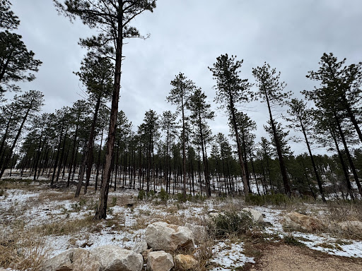 Stratobowl Rim Trailhead - Thumbnail