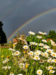 Photo n°30 de La Maison longue Chave. Chambres et table d'hôtes Raucoules, haute Loire tourisme durable à Raucoules (Restaurant)