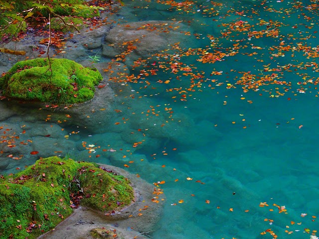Río Urederra