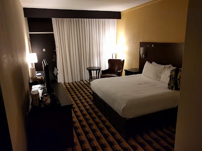 Photos of Millennium Buffalo
