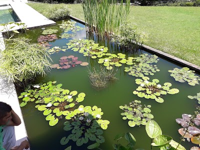 Photos of La Amelia, hospedaje y eventos campestres