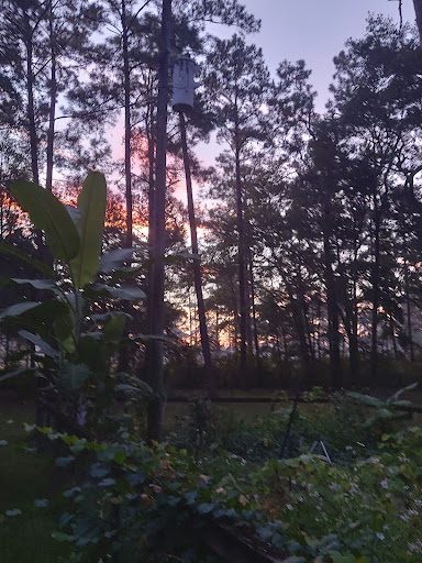 Edgewater mobile home park - Thumbnail