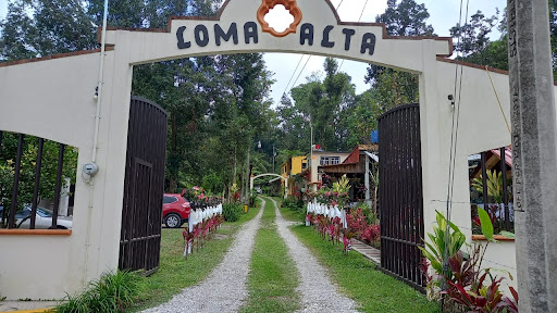 Loma Alta