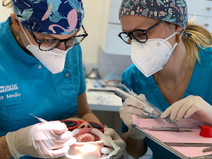 Photo n°8 de Dr Marie MEDIO à Bordeaux (Orthodontiste)