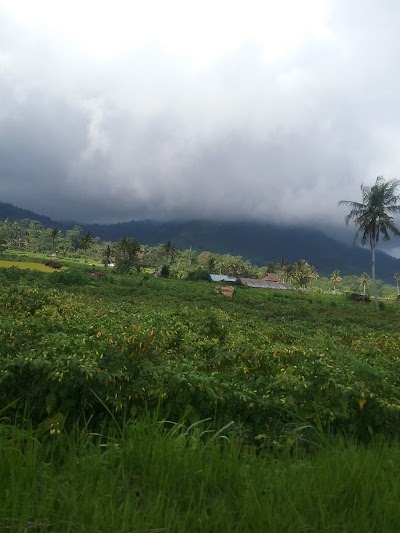 Photos of Griya Tangkeban Ulah